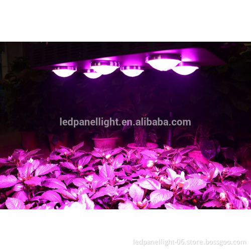 Spider 6 COB LED grow light 540W compare with HID power bloom plus mimics the noon day sun